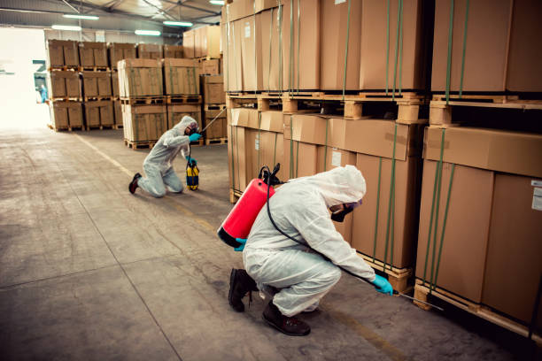 Best Cockroach Control Services  in New Braunfels, TX