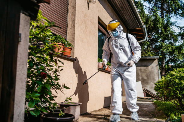 Best Insect Control  in New Braunfels, TX