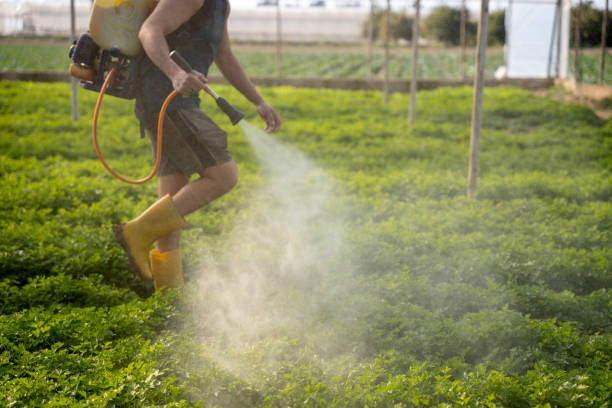 Best Best Pest Control Companies  in New Braunfels, TX