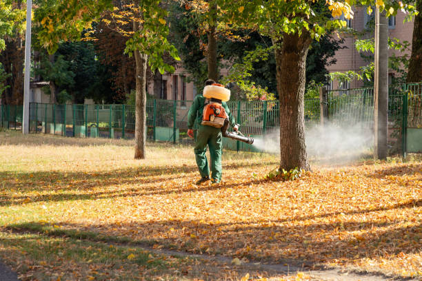 Best Rodent Control Near Me  in New Braunfels, TX