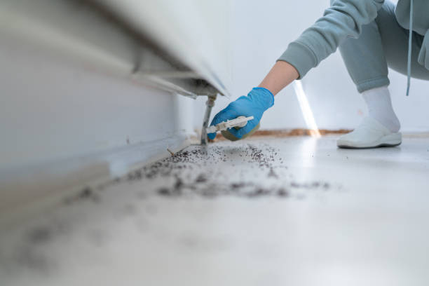Best Exterminator Services  in New Braunfels, TX